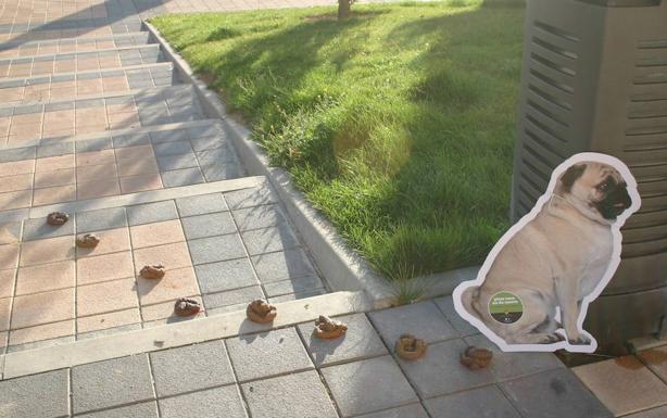 Campaña de prevención de excrementos de mascotas en la vía pública de Arroyo. /Jota de la Fuente