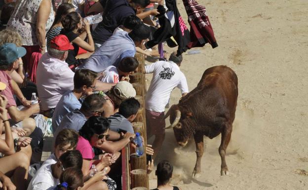 Momento en el que el peñafielense sufrió el puntazo.