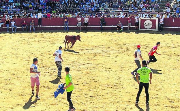 Probadilla de San Miguel, en la plaza de toros de Cuéllar.