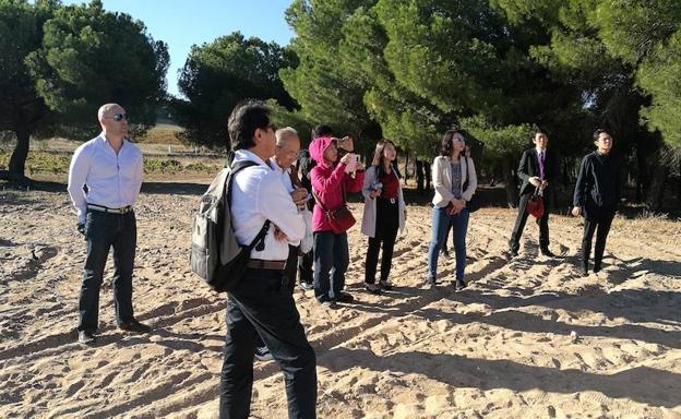 Misión inversa con importadores japoneses en la Denominación de Origen Toro.