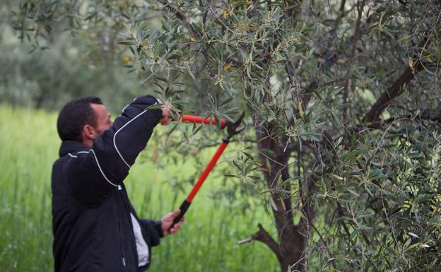 Las subvenciones están destinadas a proyectos en el medio rural. /WORD
