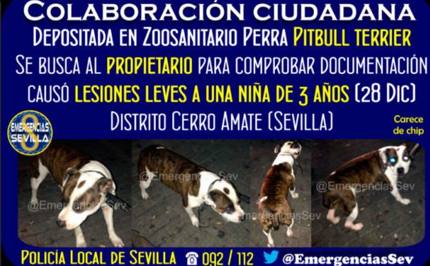 Mensaje de la Policía local de Sevilla. /