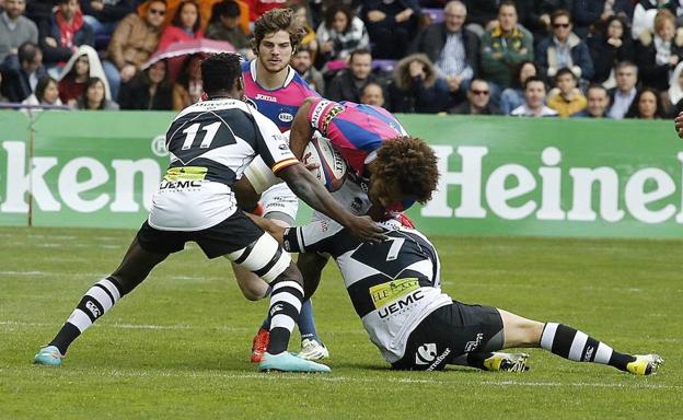 Final de la Copa del Rey de Rugby entre el SilverStorm El Salvador y el VRAC Quesos Entrepinares celebrado en el estadio Jose Zorrilla. /