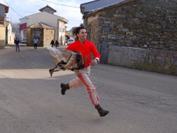 Imagen de la Filandorra / Araceli Saavedra./