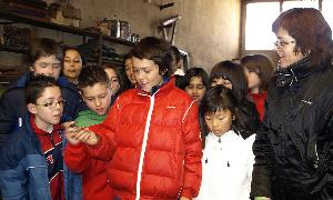 Un grupo de escolares visita una herrería. /El Norte/