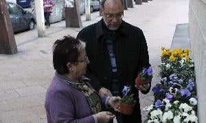 Carmen reparte flores en la plaza de la Solidaridad. / Henar Sastre/