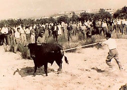 Alanceamiento del toro en los años 50. / Patronato del Toro de la Vega./