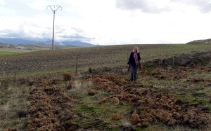 La concejala de Medio Ambiente, Paloma Maroto, ante los arboles plantados en Perogordo. ::
EL NORTE/