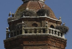 Nidos de cigüeñas en la torre de la iglesia del municipio de Matapozuelos. :: FRAN JIMÉNEZ/