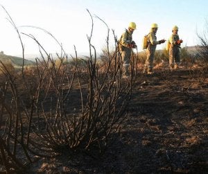 Agentes forestales inspeccionan un incendio. ::
MARIAN M. MONTESINOS/