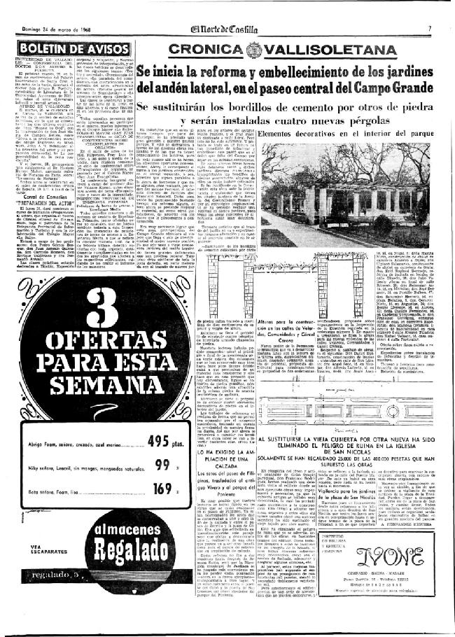 Página 7