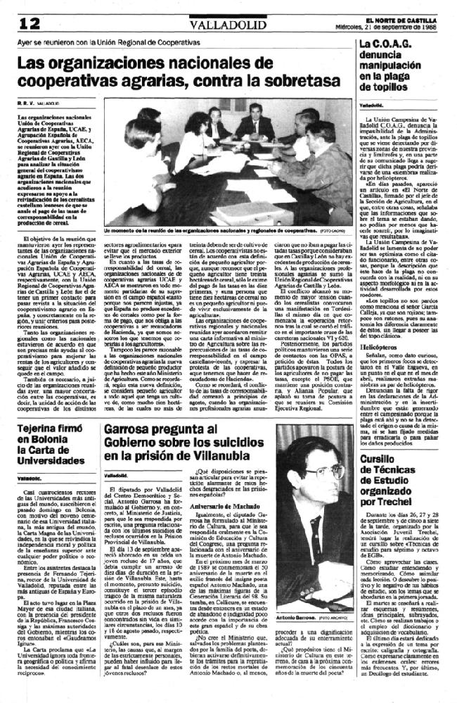 Página 12