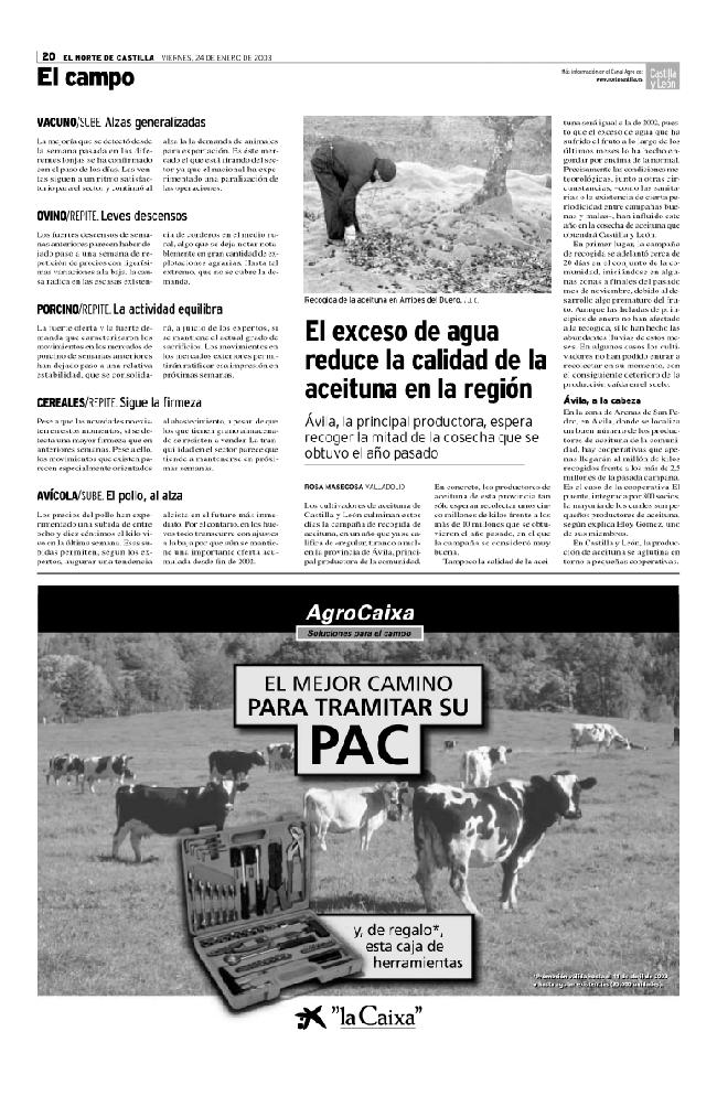 Página 20