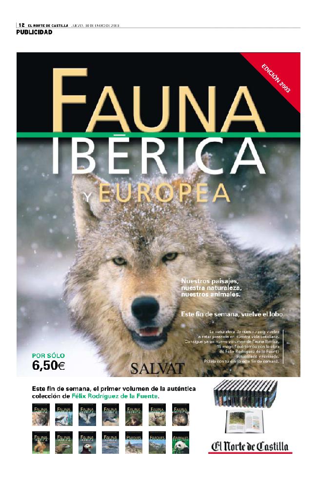 Página 12