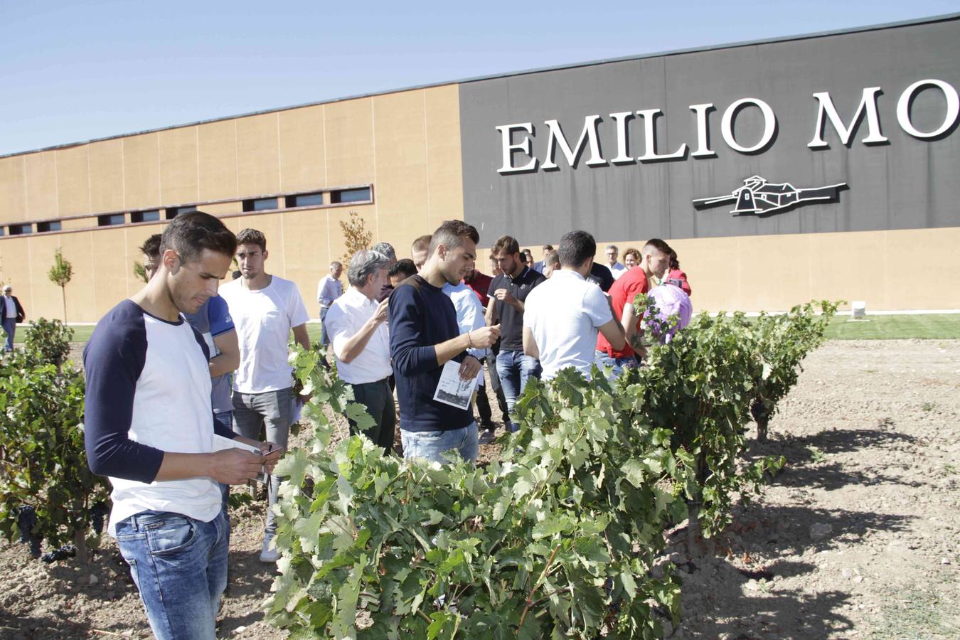 Los jugadores del Real Valladolid apadrinan una cepa solidaria en los viñedos de Emilio Moro