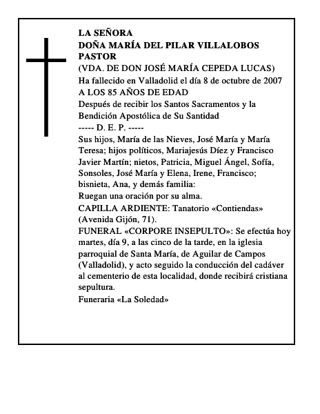 DOÑA MARÍA DEL PILAR VILLALOBOS PASTOR