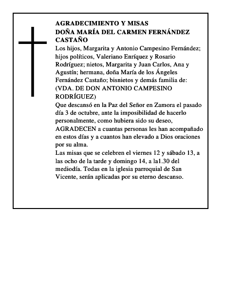DOÑA MARÍA DEL CARMEN FERNÁNDEZ CASTAÑO