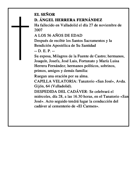 D. ÁNGEL HERRERA FERNÁNDEZ