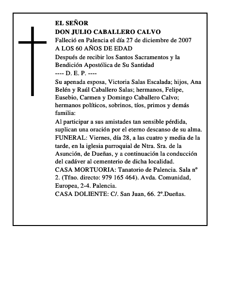 DON JULIO CABALLERO CALVO
