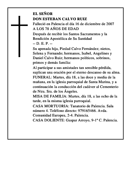 DON ESTEBAN CALVO RUIZ