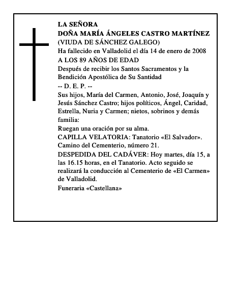 DOÑA MARÍA ÁNGELES CASTRO MARTÍNEZ
