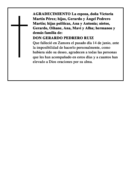 DON GERARDO PEDRERO RUIZ