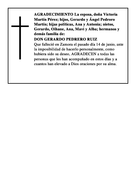 DON GERARDO PEDRERO RUIZ