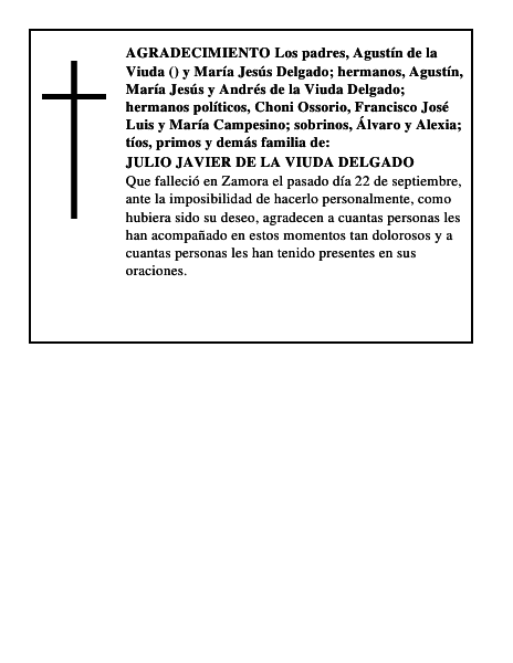 JULIO JAVIER DE LA VIUDA DELGADO