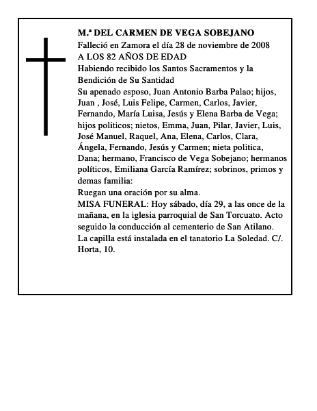 M.ª DEL CARMEN DE VEGA SOBEJANO