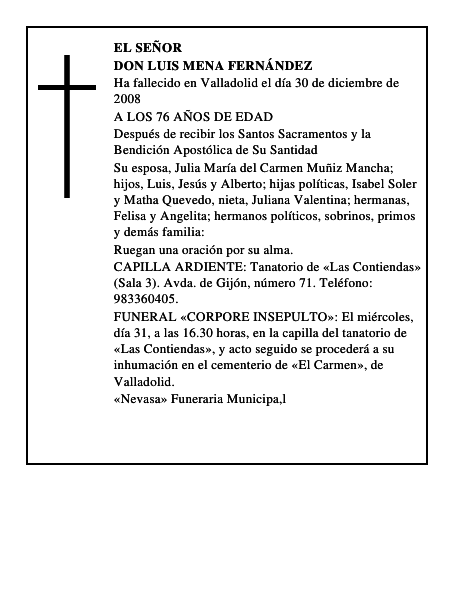 DON LUIS MENA FERNÁNDEZ