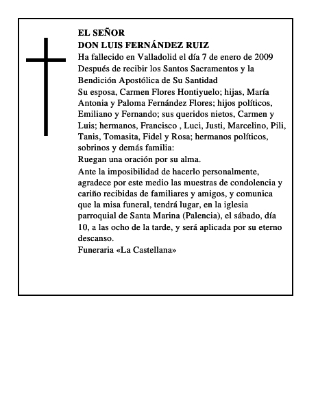 DON LUIS FERNÁNDEZ RUIZ