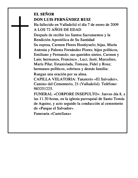 DON LUIS FERNÁNDEZ RUIZ