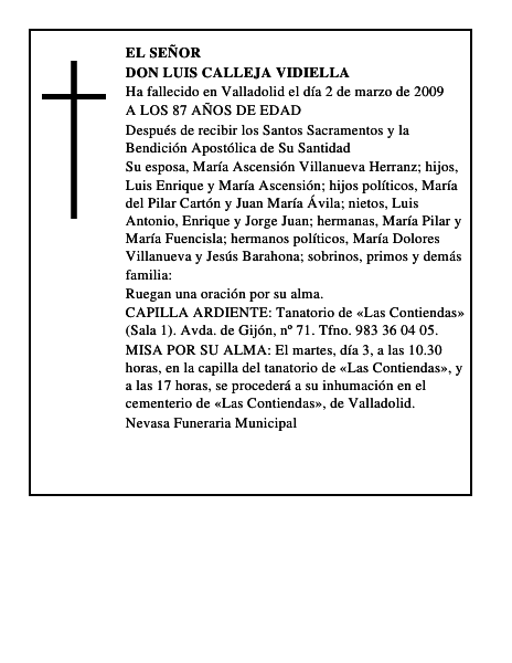 DON LUIS CALLEJA VIDIELLA