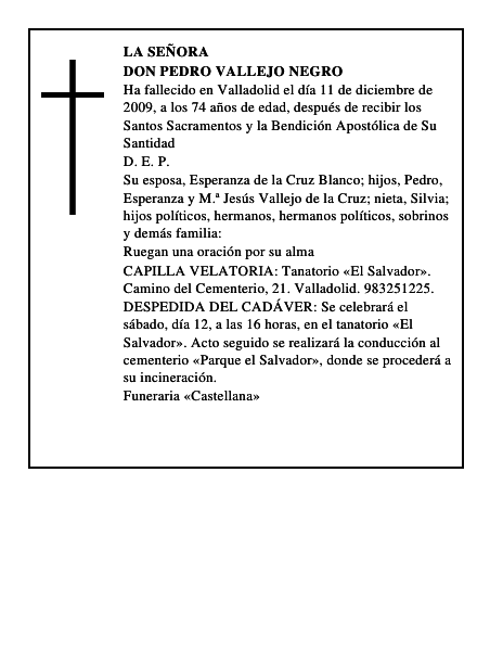 Don Pedro Vallejo Negro