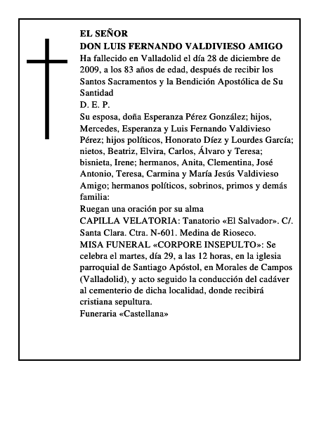 Don Luis Fernando Valdivieso Amigo