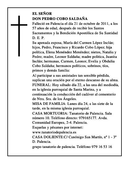 Don Pedro Cobo Saldaña