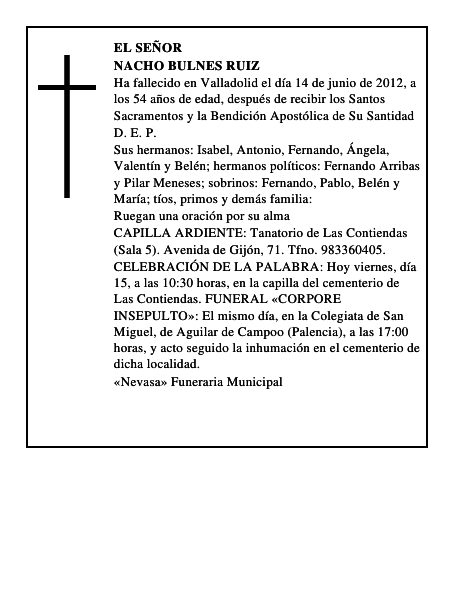 Nacho Bulnes Ruiz