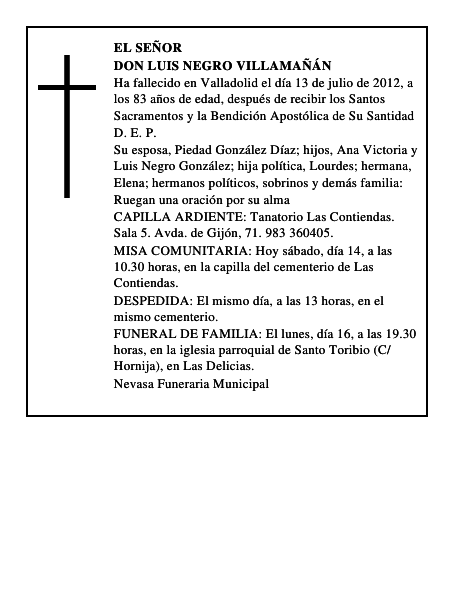 Don Luis Negro Villamañán