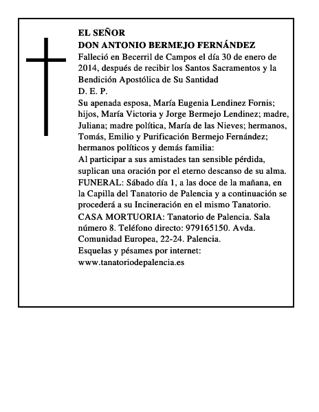 Don Antonio Bermejo Fernández