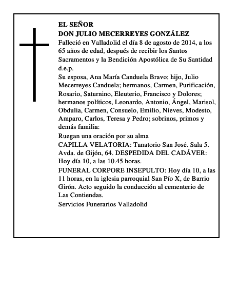 Don Julio Mecerreyes González