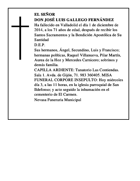 Don José Luis Gallego Fernández