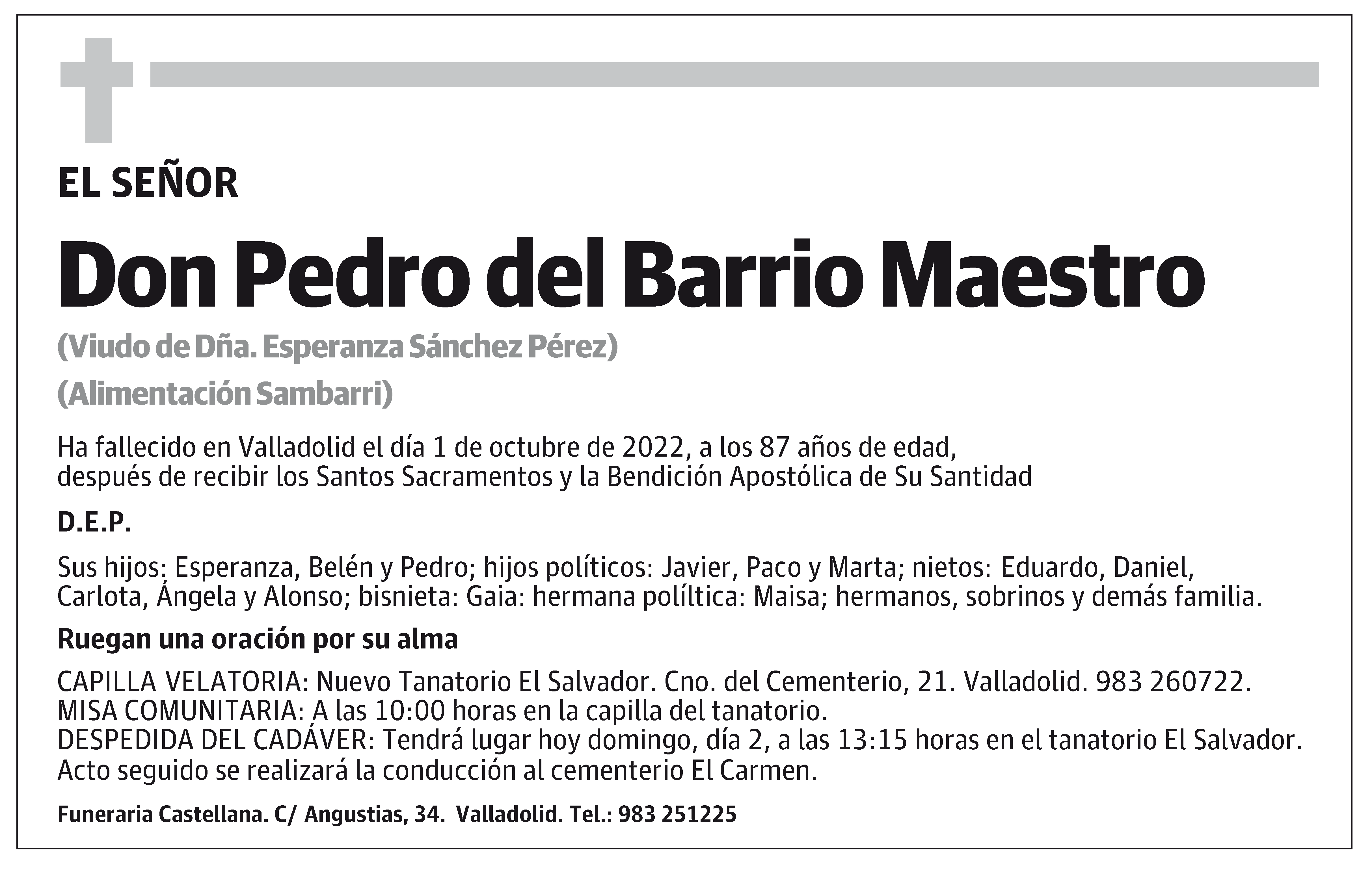 Pedro del Barrio Maestro
