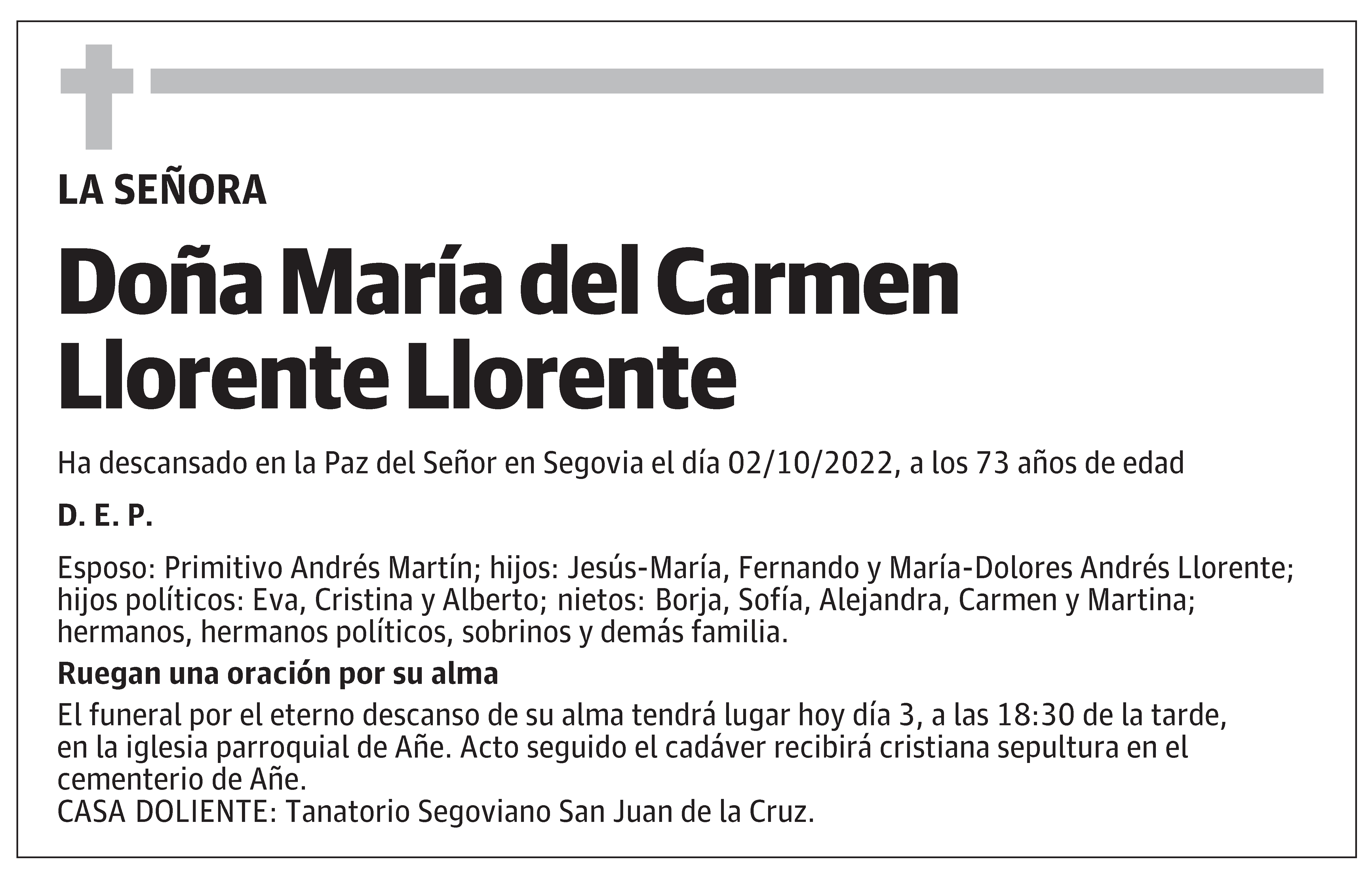 María del Carmen Llorente Llorente