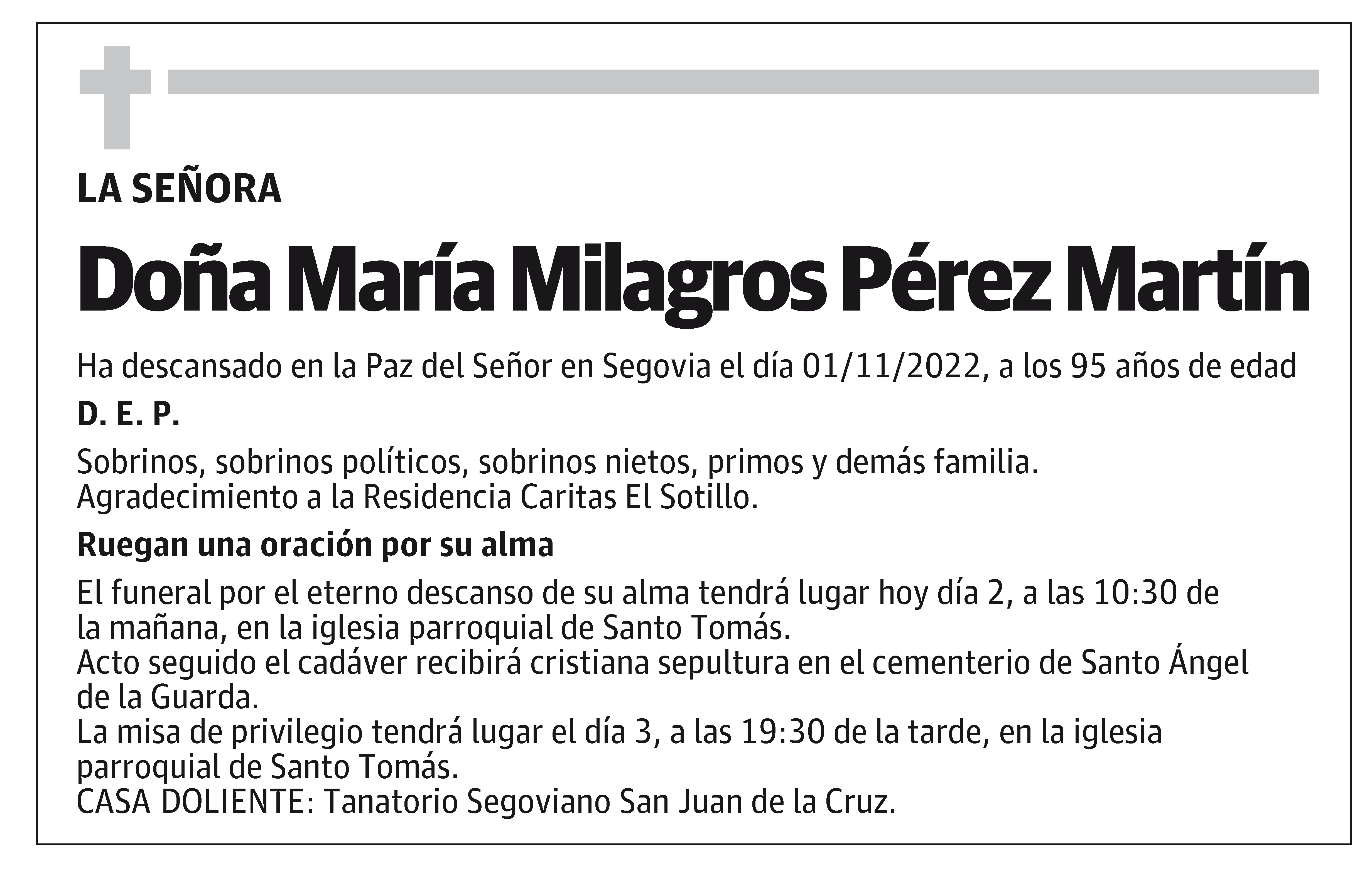 María Milagros Pérez Martín