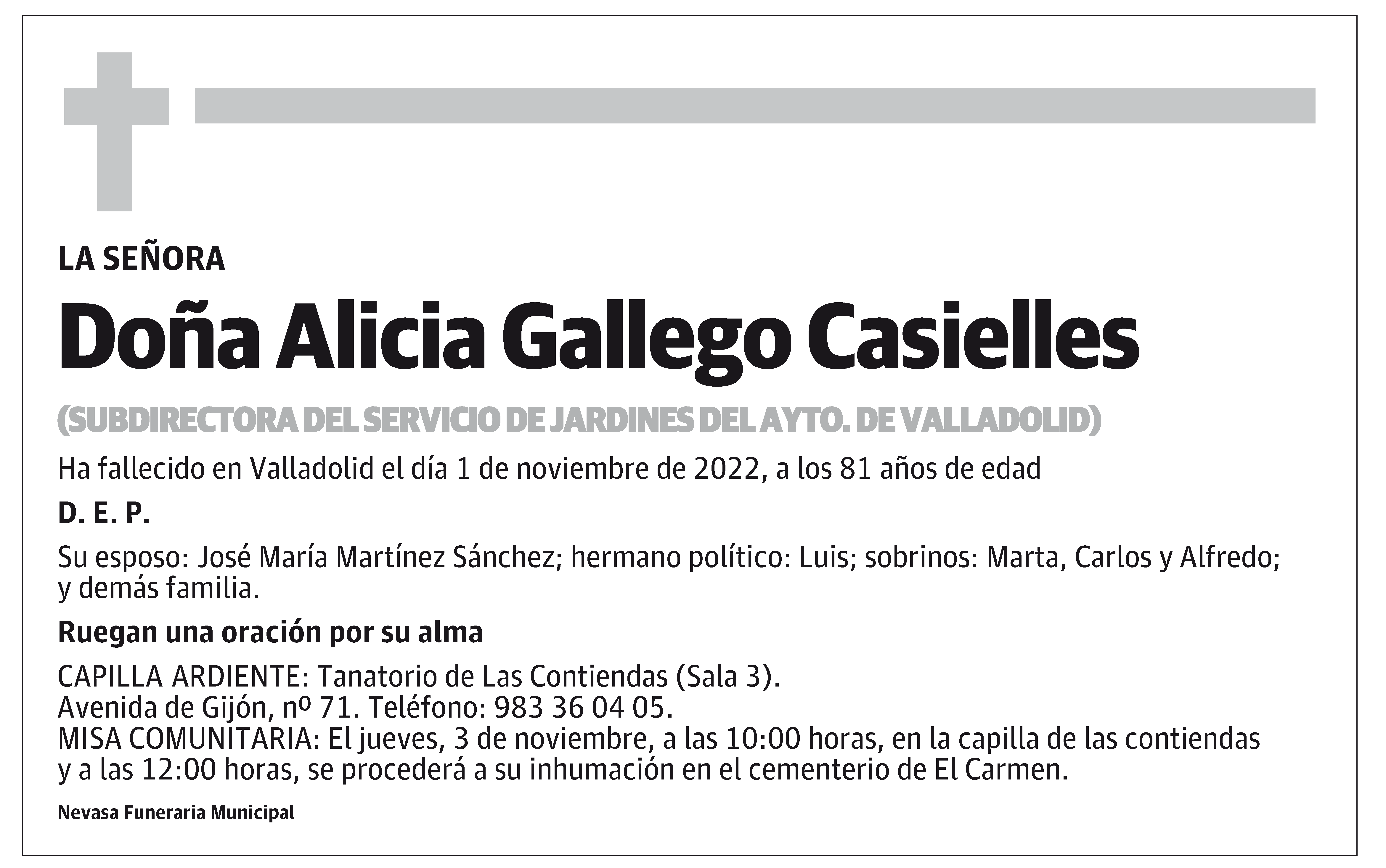 Alicia Gallego Casielles