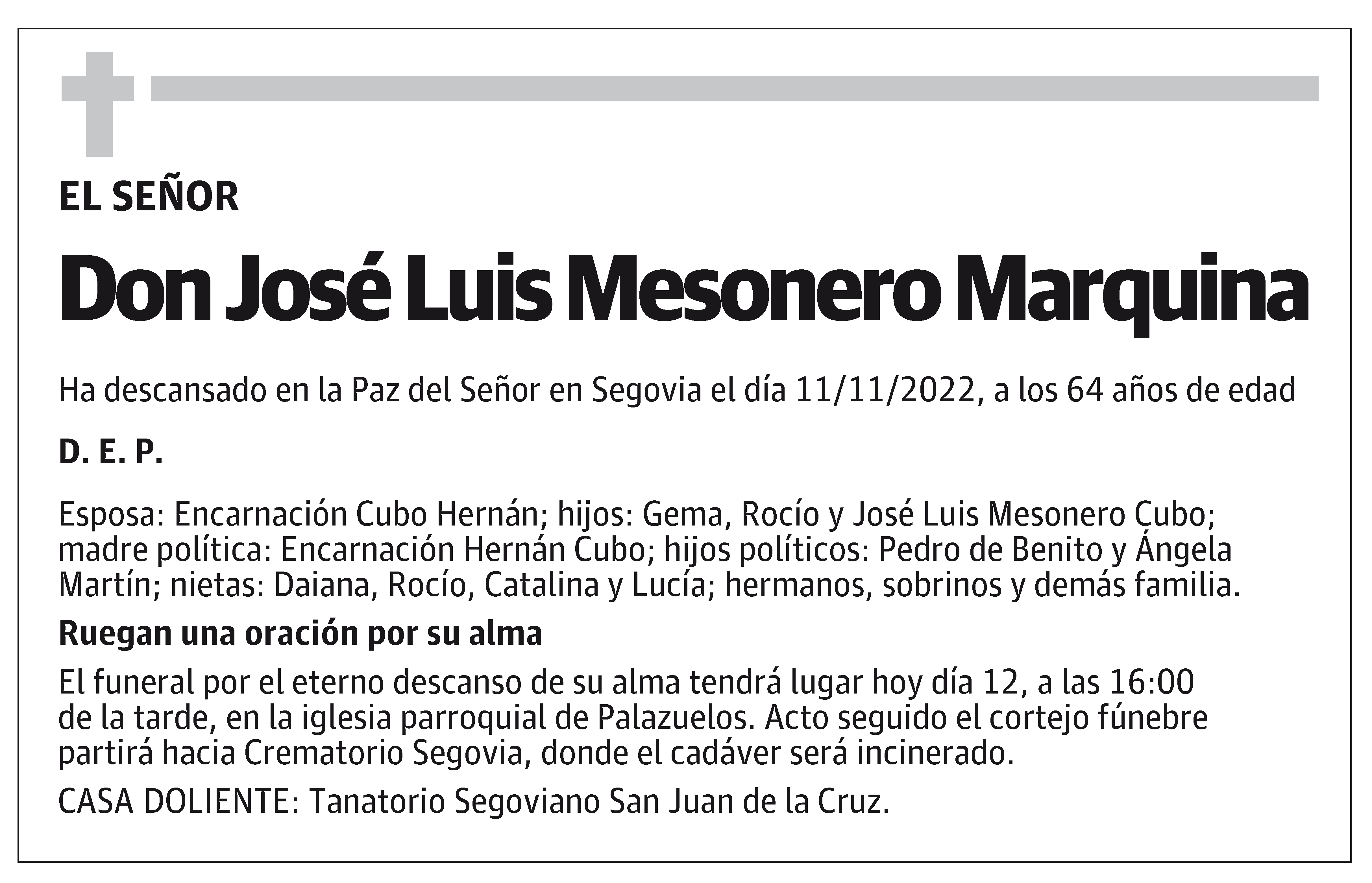 José Luis Mesonero Marquina