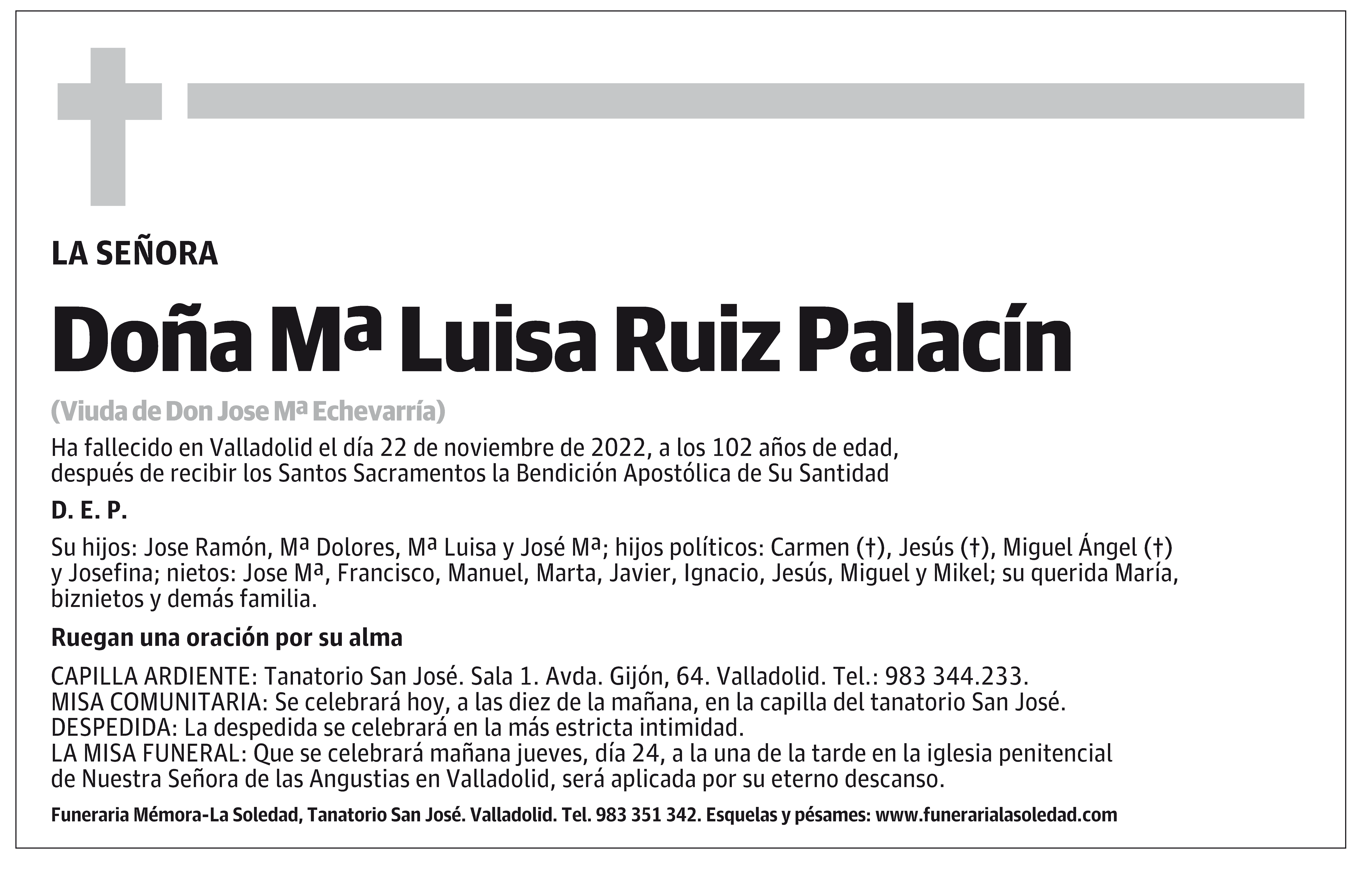 Mª Luisa Ruiz Palacín