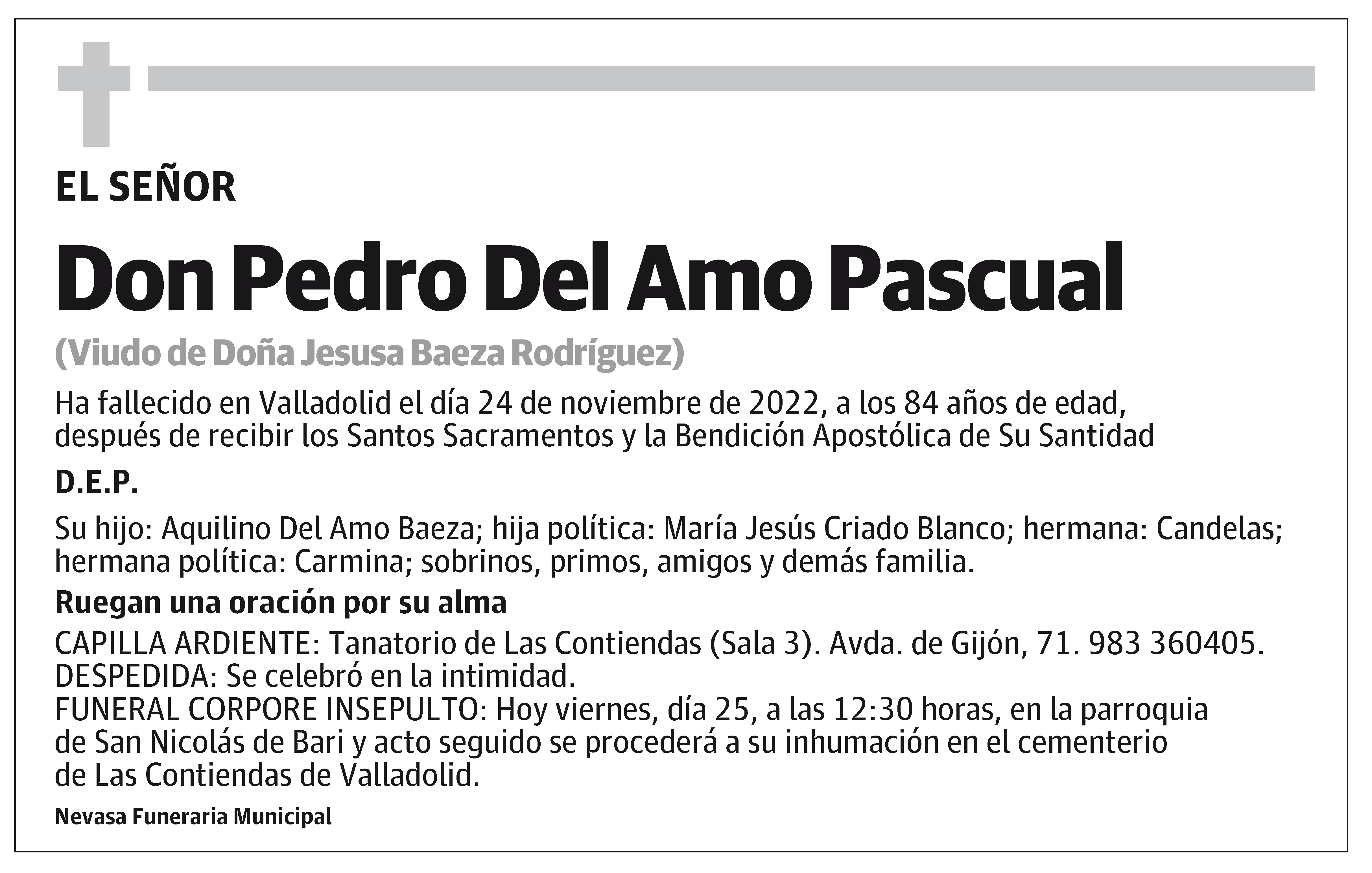 Pedro Del Amo Pascual