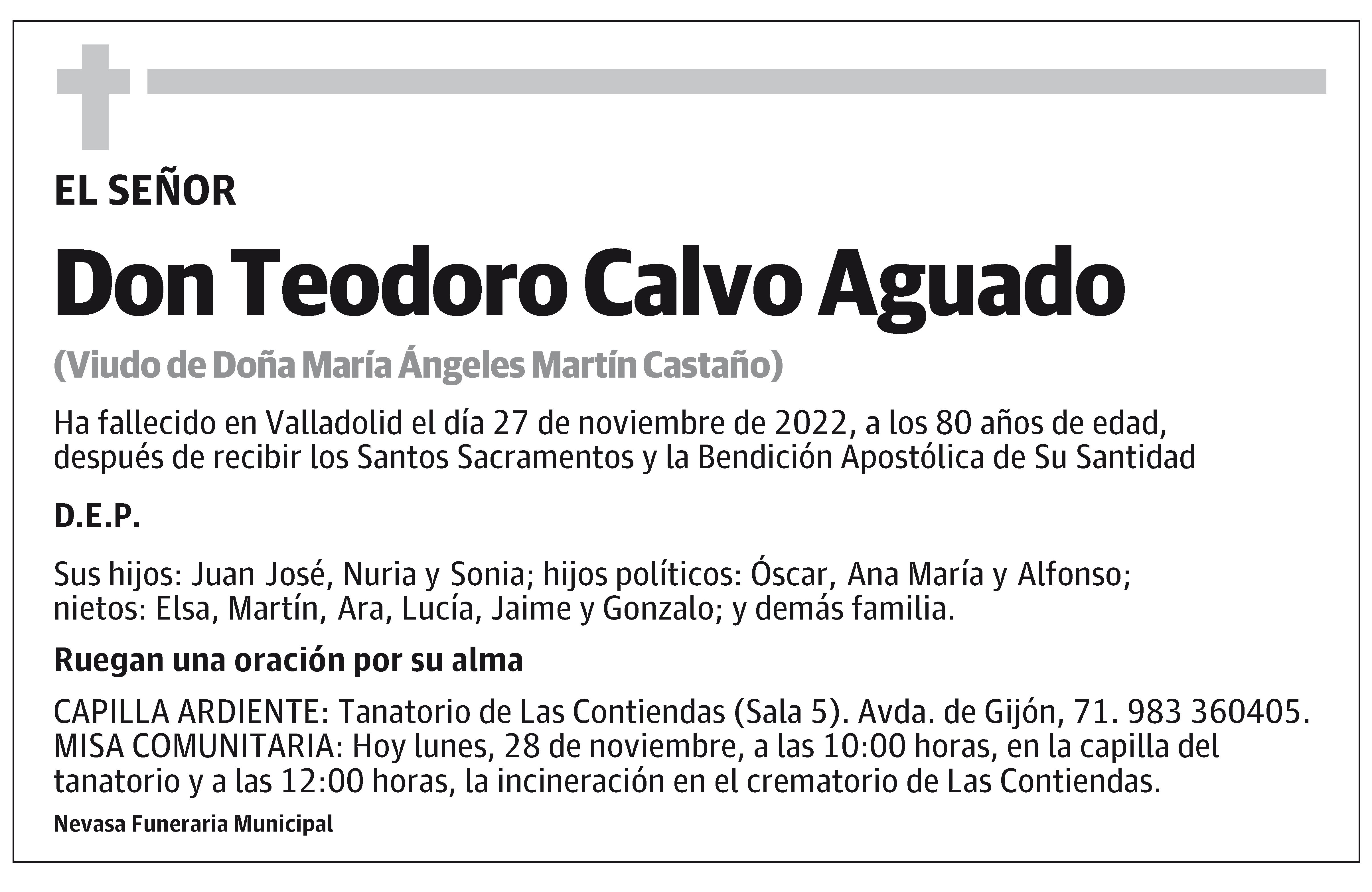 Teodoro Calvo Aguado