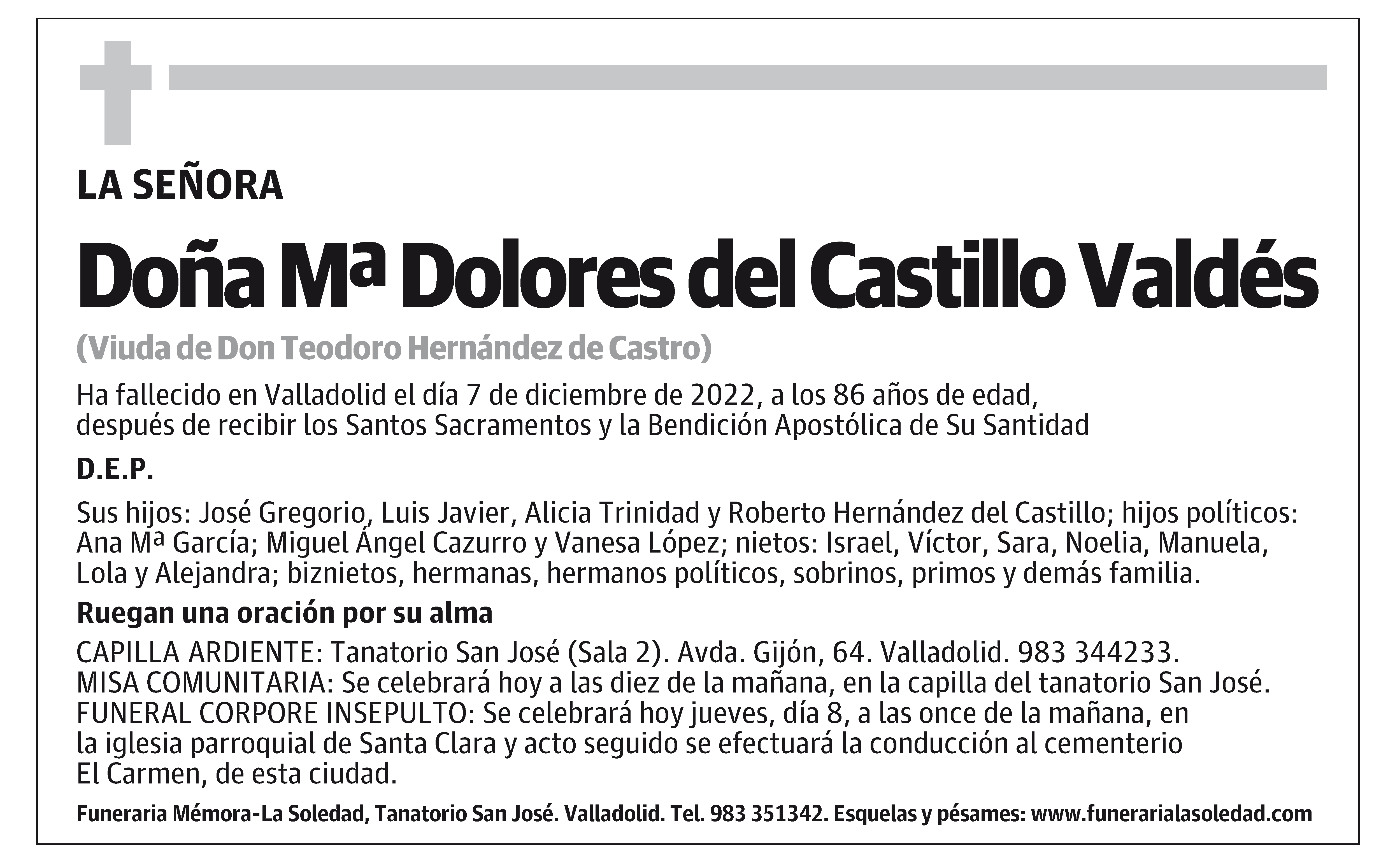 Mª Dolores del Castillo Valdés